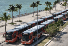 autobuses cancun